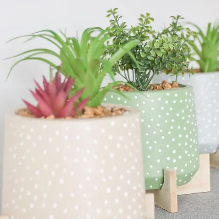 Butter Cross Scarborough